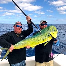 Mahi-mahi on deck