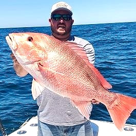 Snapper